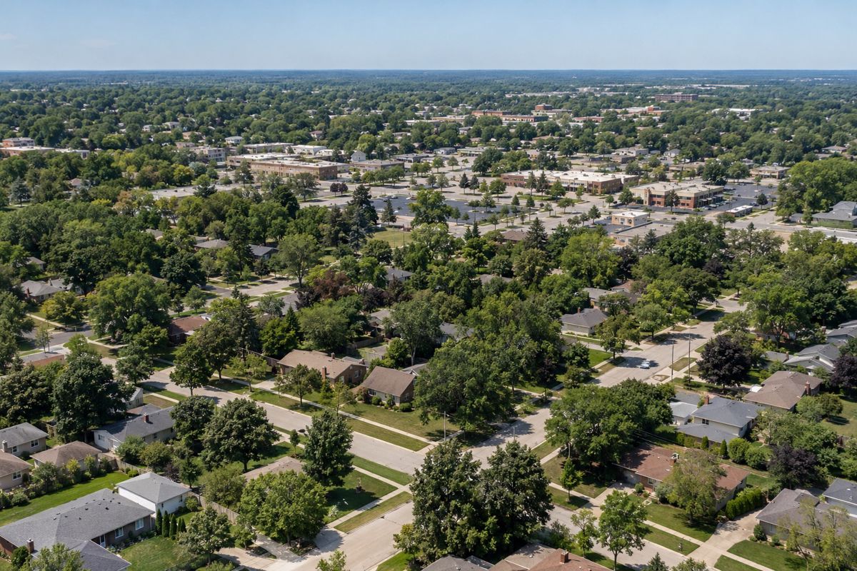 Aerial view of a mid-sized American suburb with tree-lined streets and rooftops